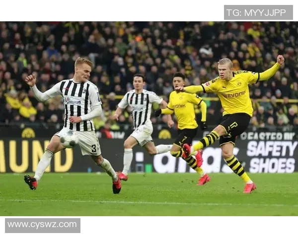 霍芬海姆斩落多特蒙德,德甲热门队遭遇连败不振