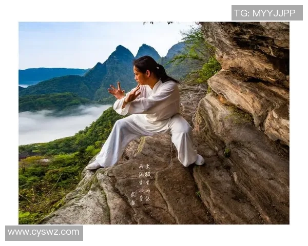 武当太极扇第一套的精髓与练习技巧探讨与传承之路