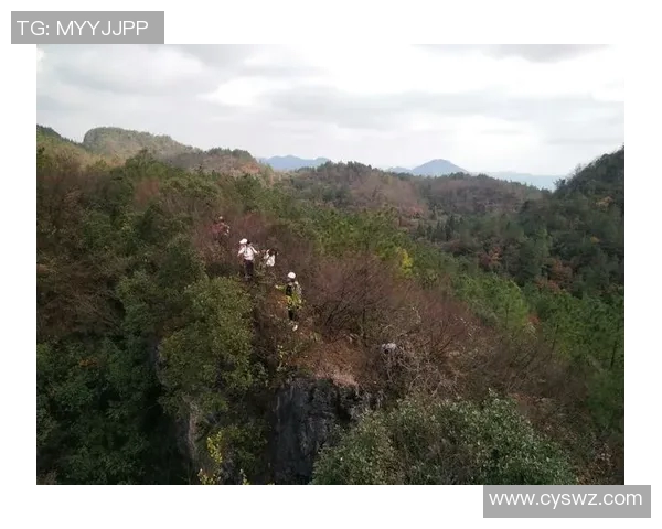 纽伦堡客场豪取关键胜利，壮心冲冠之路再起航